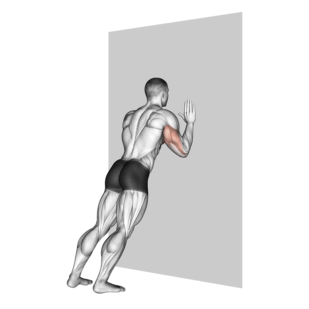 Wall Push Up Benefits, Muscles Worked, and More Inspire US