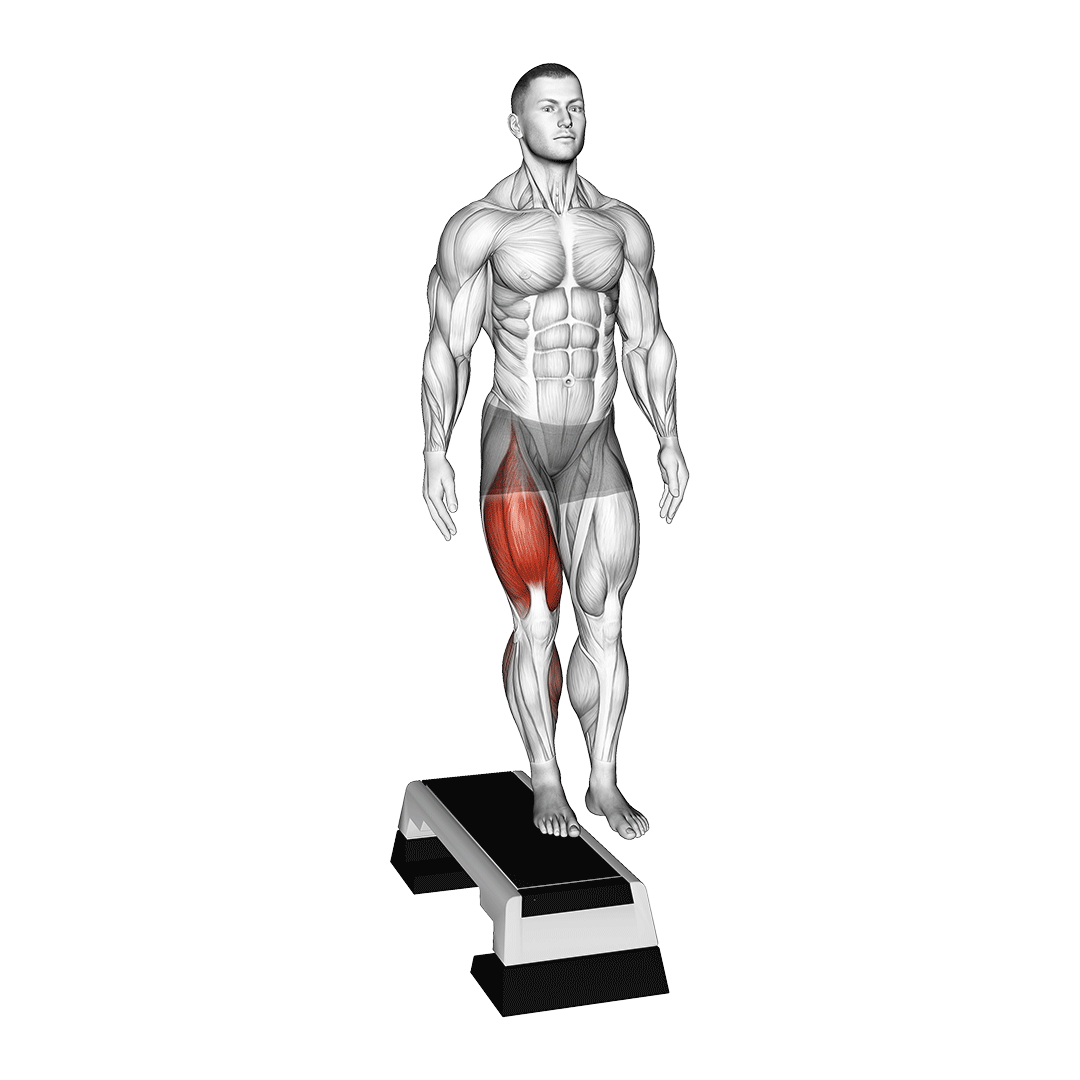7 Best Vastus Lateralis Exercises (with Pictures!) Inspire US