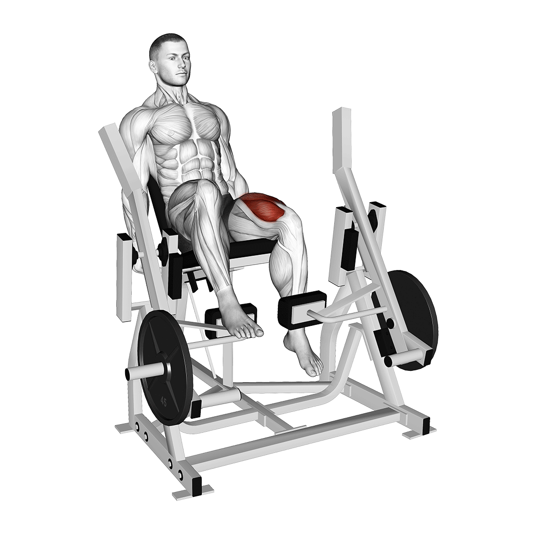 Leg Extensions: Benefits, Muscles Worked, and More - Inspire US