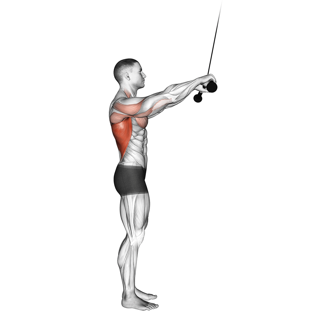 6 Best Cable Back Exercises (with Pictures!) Inspire US