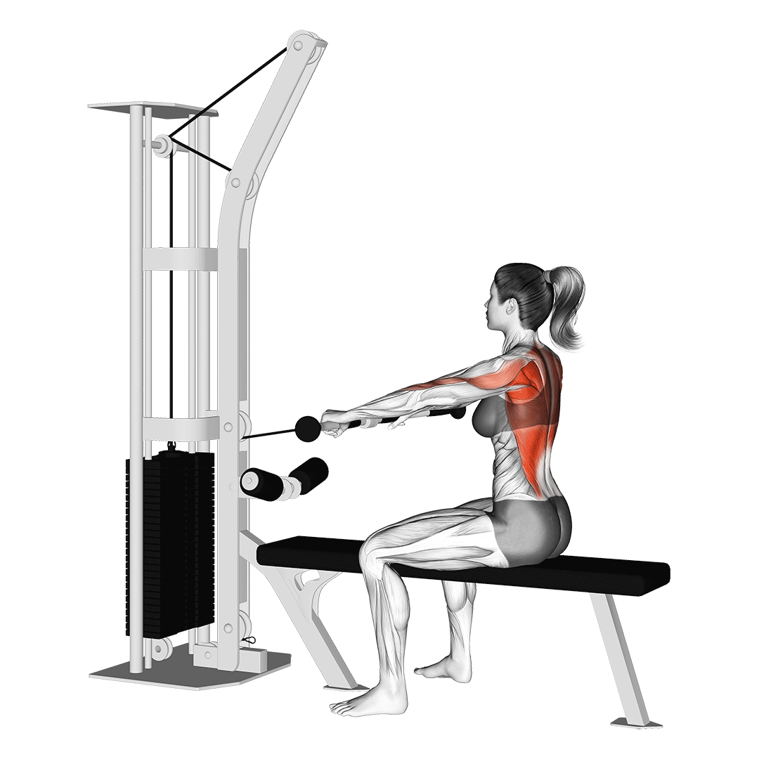 Cable Rows Benefits, Muscles Worked, and More Inspire US