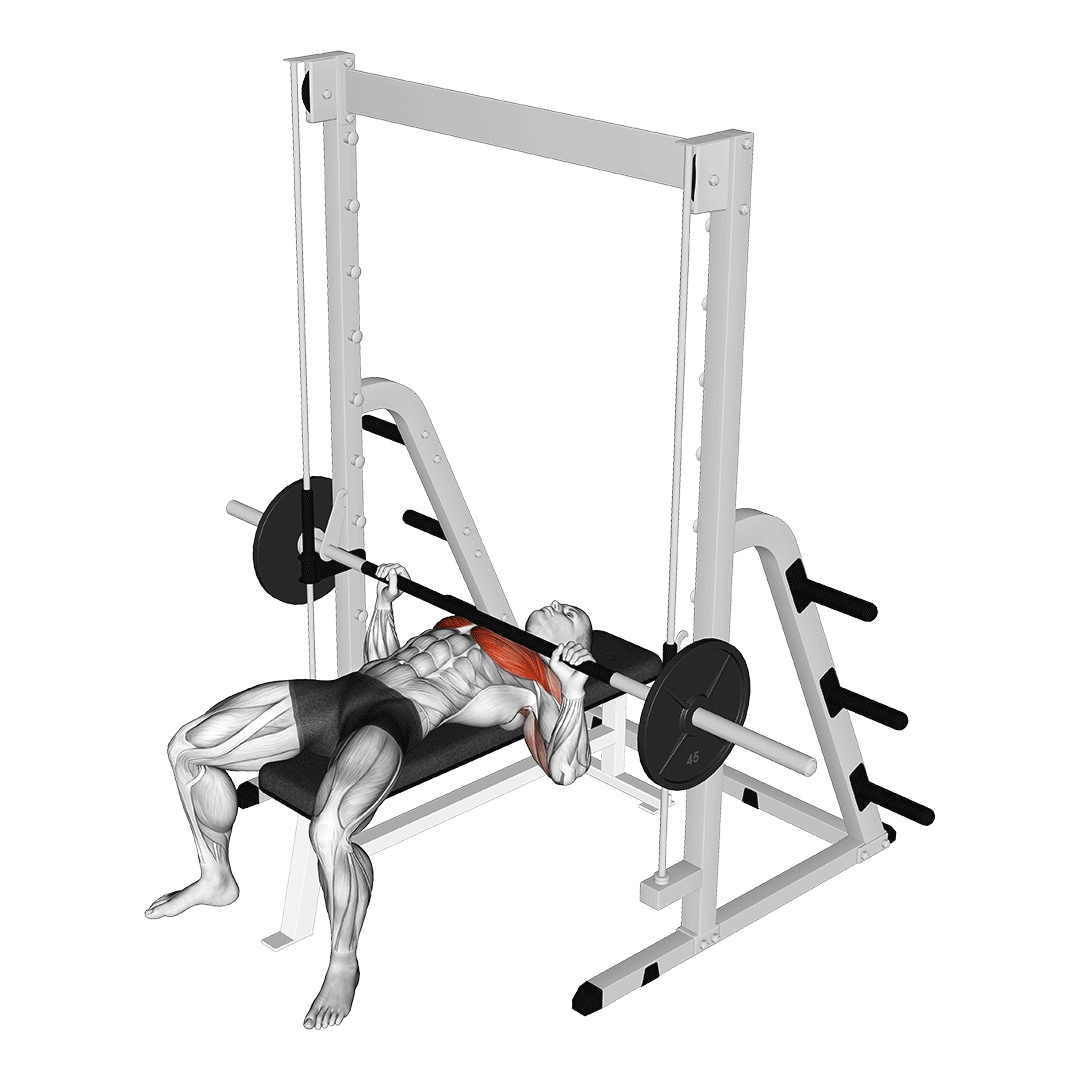 Chest Press Machine Benefits, Muscles Worked, and More Inspire US