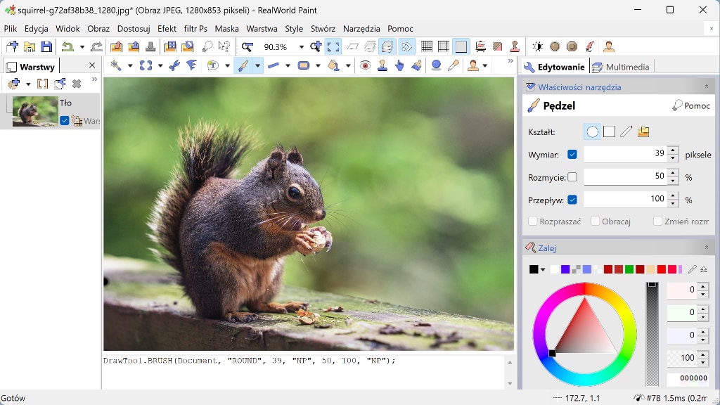 RealWorld Paint 2023.1 Windows download instalki.pl