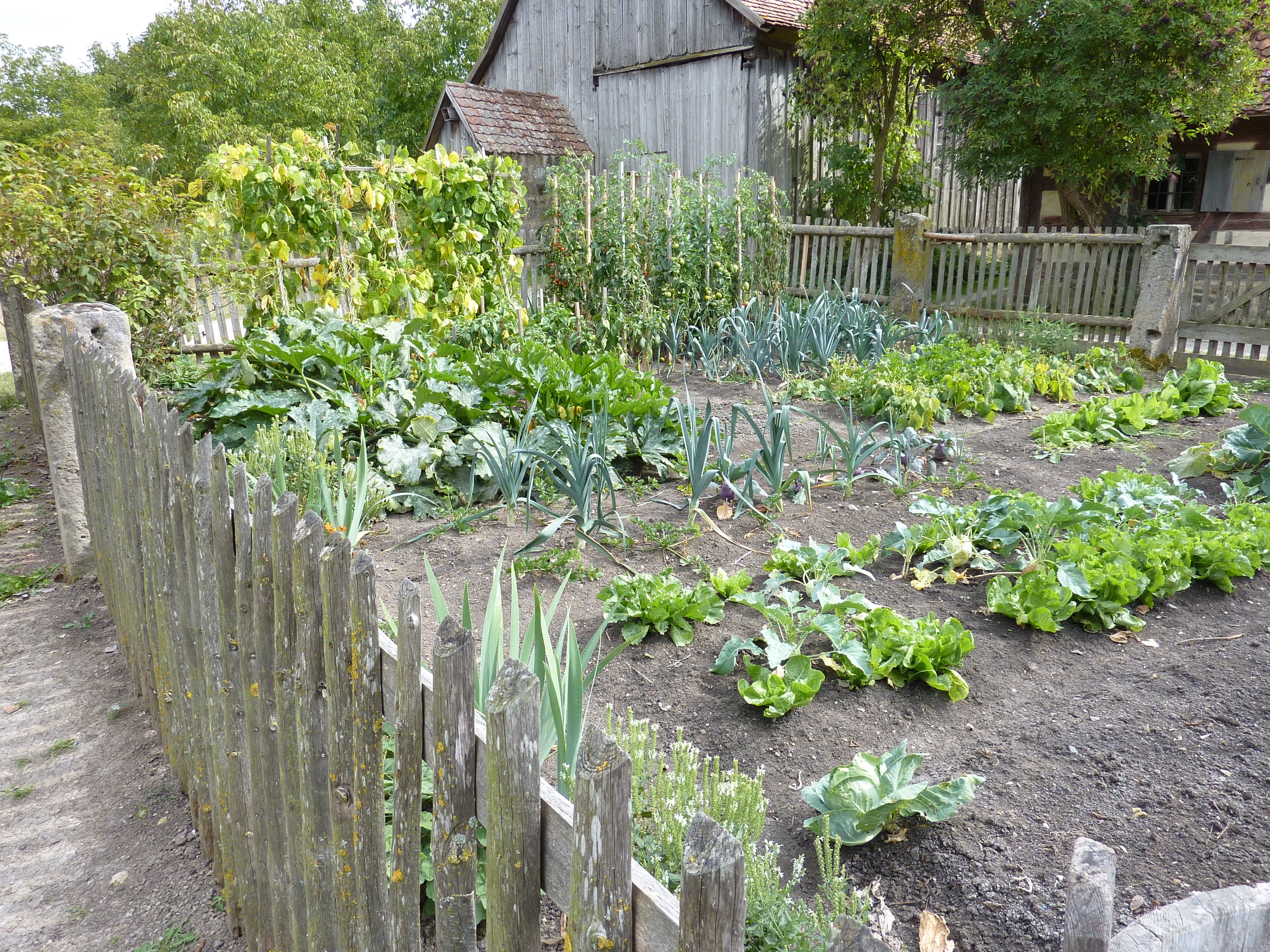 How to Maximize Garden Space for Urban Farming INSTALLITDIRECT