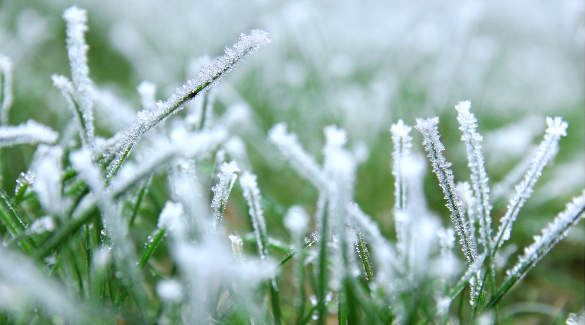 Does Artificial Grass Freeze in Winter? InstallItDirect
