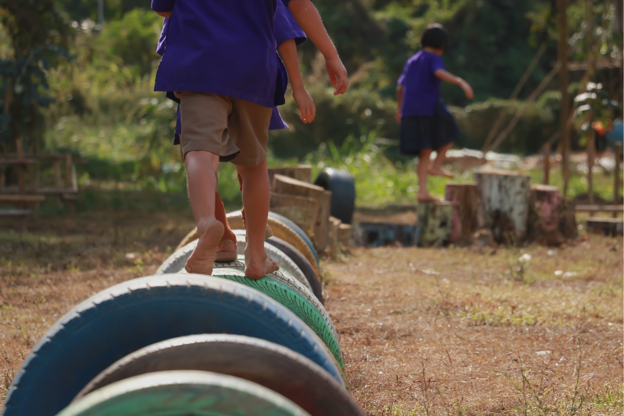 37 Alternatives to Grass in Your Backyard InstallIt Direct