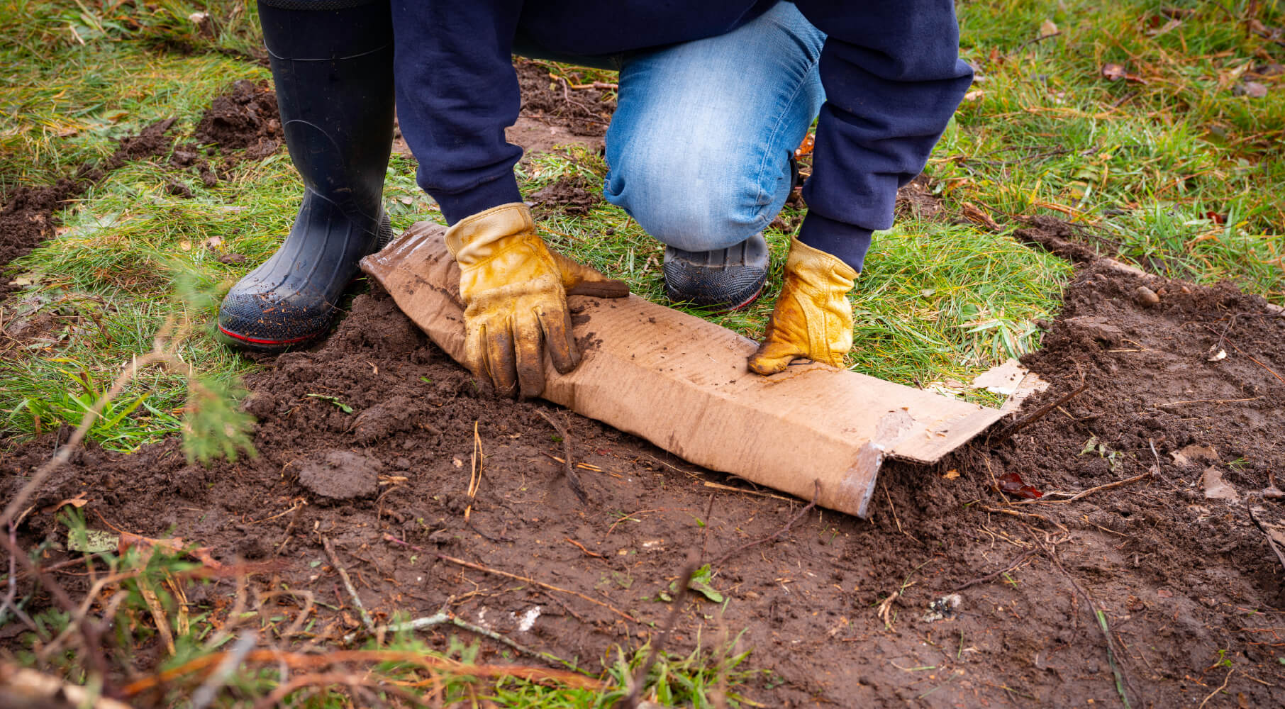 How to Kill Grass Guide & Benefits InstallIt Direct