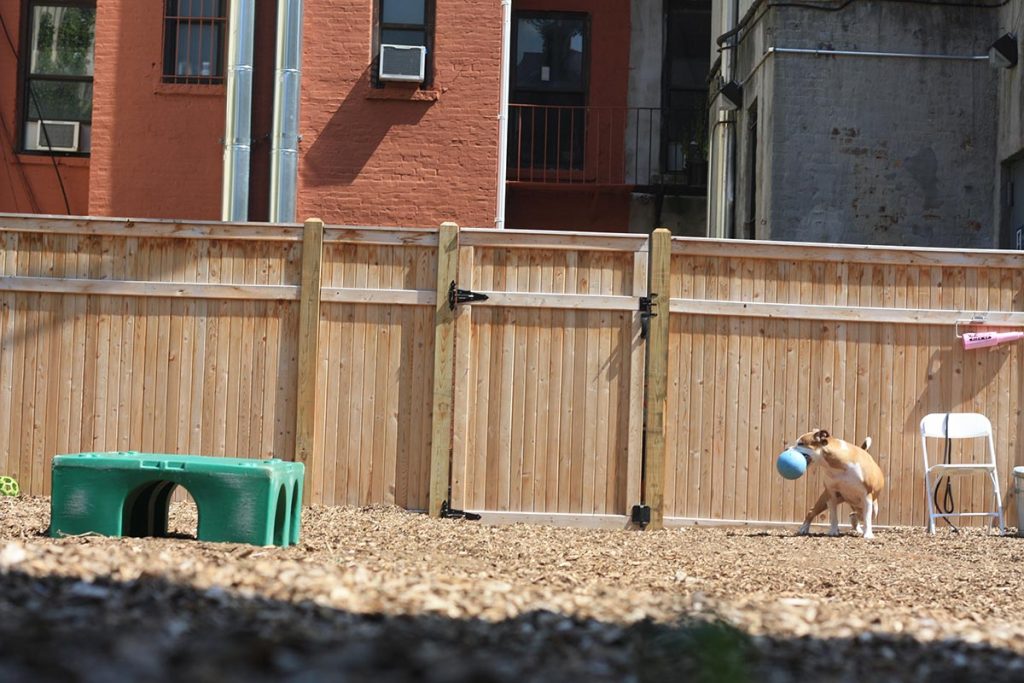 About Instinct® Dog Behavior & Training Englewood