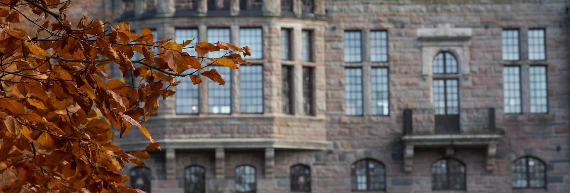 Universidad de Jönköping Jonkoping University Suecia