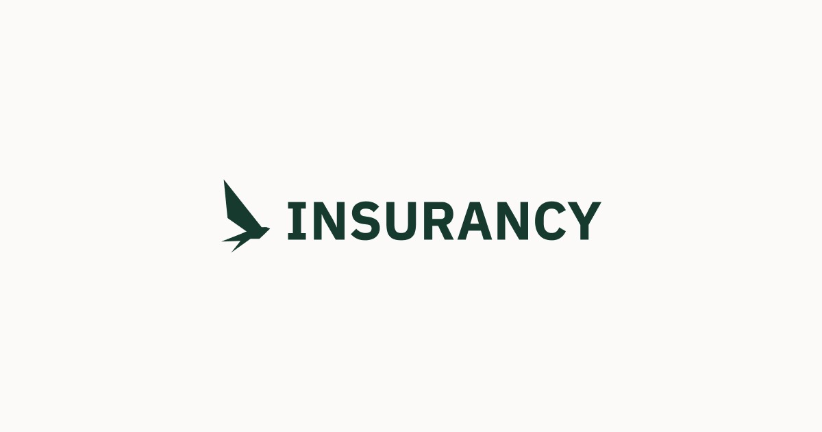 International Health Insurance While Traveling Guide (2024) Insurancy