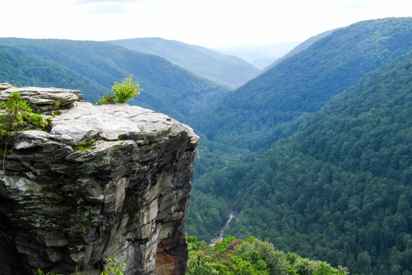 West Virginia Car Insurance InsureOne