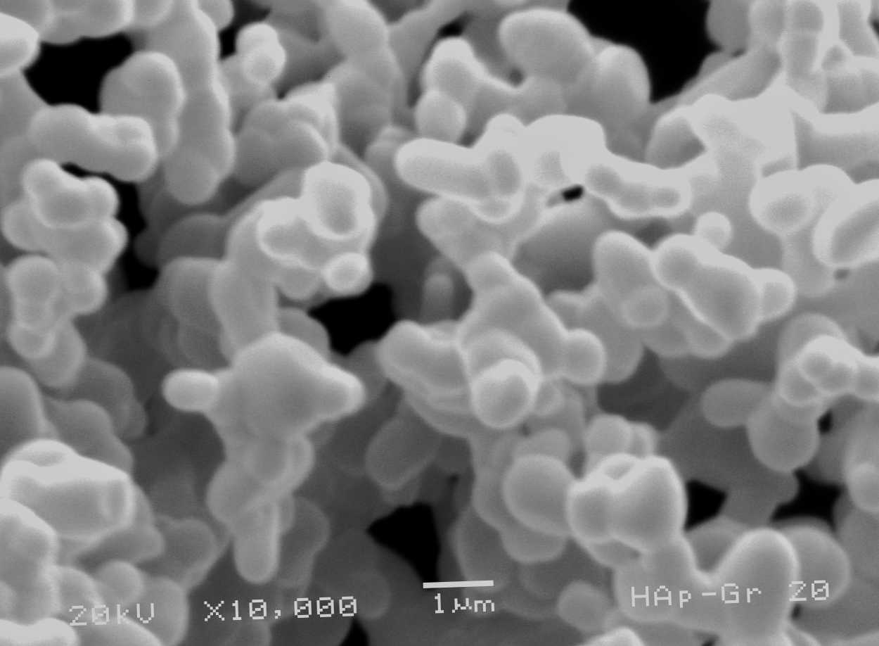HydroxyapatiteBased Materials Synthesis and Characterization IntechOpen