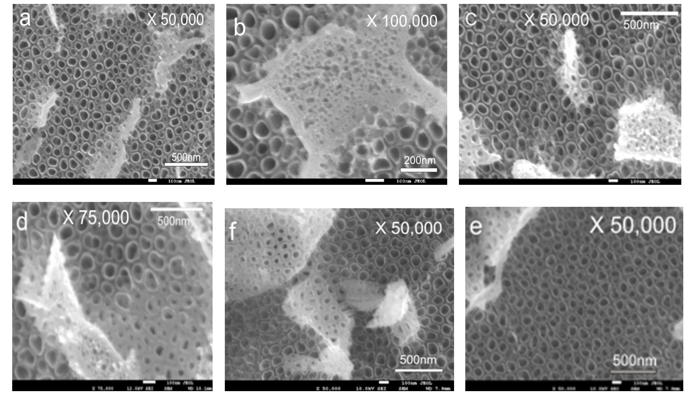 Anodic Layer Formation on Titanium and Its Alloys for Biomedical