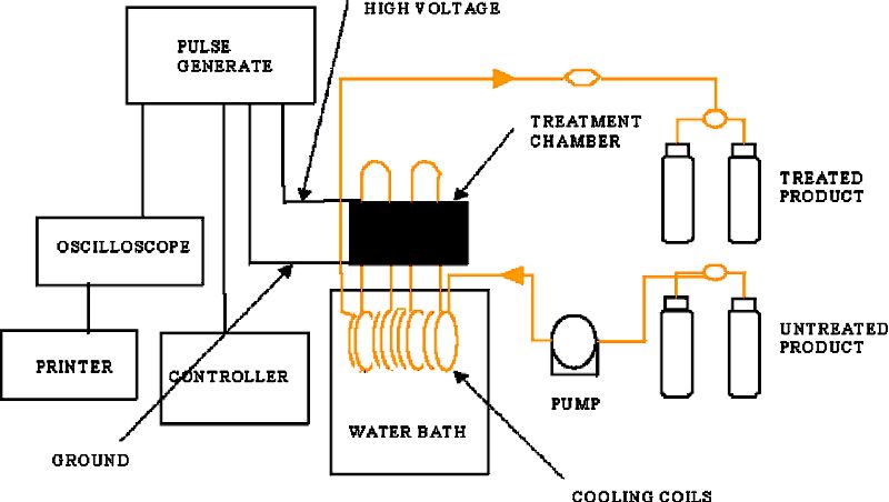 Pulsed Electric Fields for Food Processing Technology IntechOpen