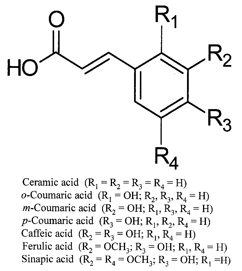 Food Phenolic Compounds Main Classes, Sources and Their Antioxidant