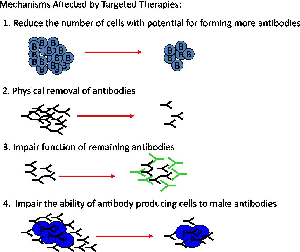 Transplanting Against Barriers IntechOpen