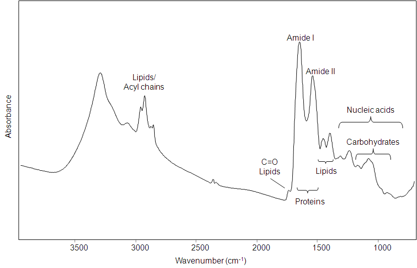 Multivariate Analysis for Fourier Transform Infrared Spectra of Complex