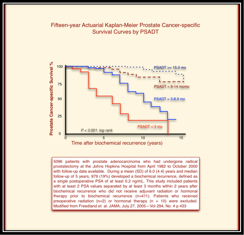 Describing Prostate Cancer Dynamics Second Look at PSA Doubling Time