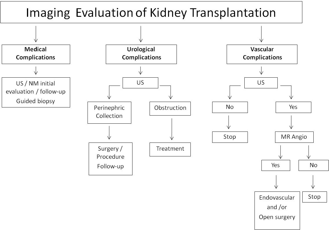 Imaging in Kidney Transplantation IntechOpen