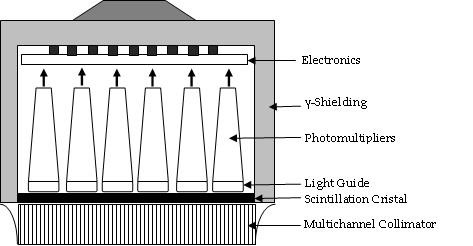 Principles And Applications Of Nuclear Medical Imaging A Survey On