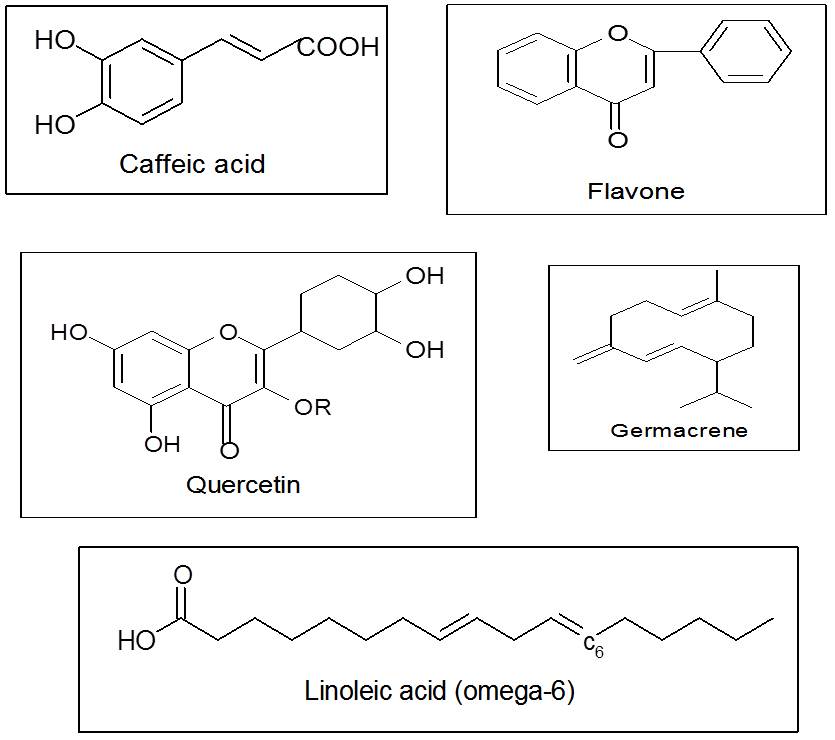 Chemistry of Natural Antioxidants and Studies Performed with Different