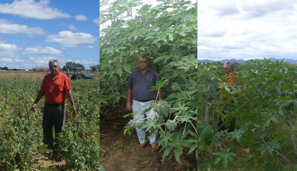 Castor Breeding IntechOpen