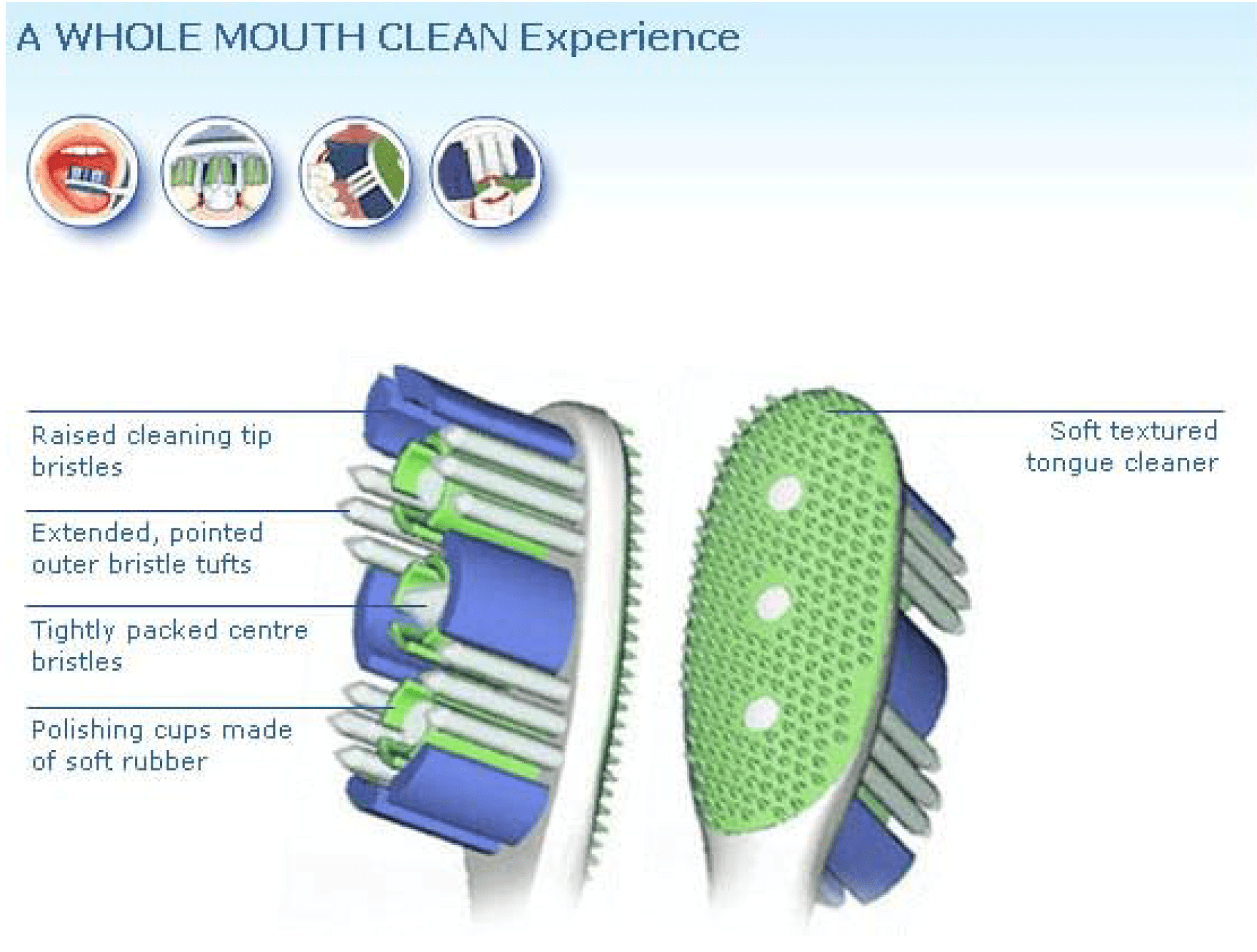 Concepts of Oral Hygiene Maintenance that Would Apply for the Different