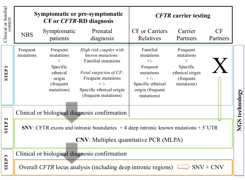 New Molecular Diagnosis Approaches — From the Identification of Mutations to their