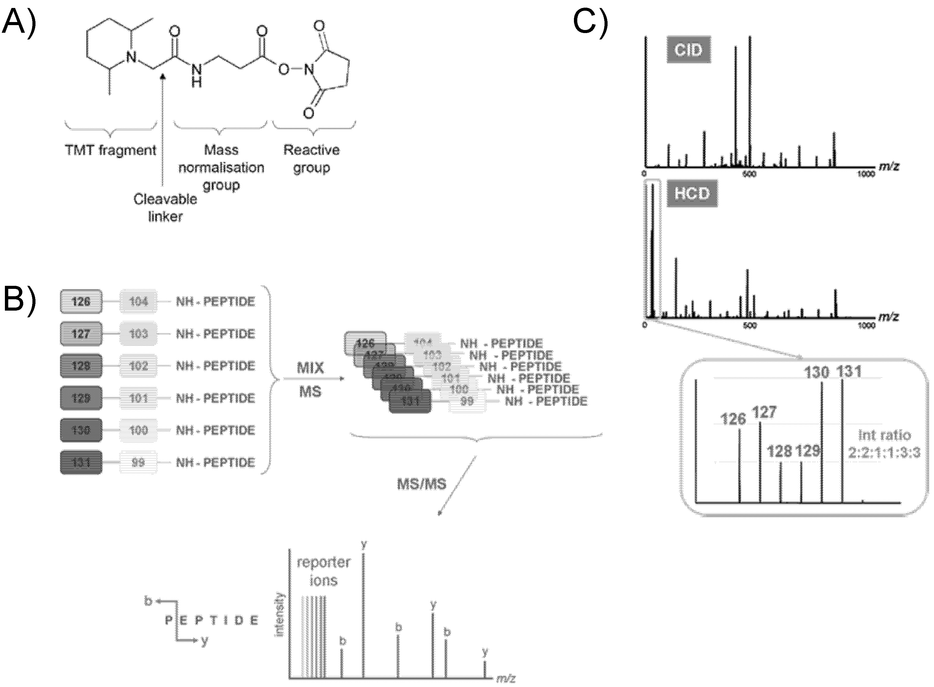 Quantitative Mass Spectrometrybased Proteomics IntechOpen
