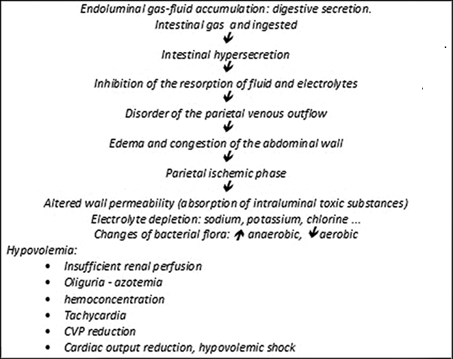 Management of Intestinal Obstruction IntechOpen