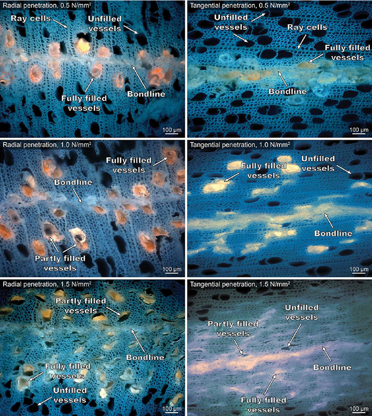 Wood Adhesives and Bonding Theory IntechOpen