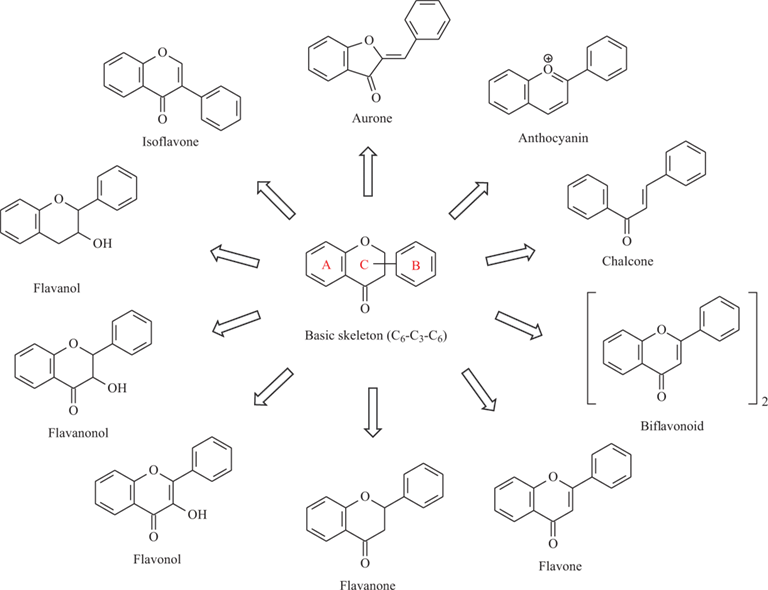 Flavonoids Promising Natural Products for Treatment of Skin Cancer