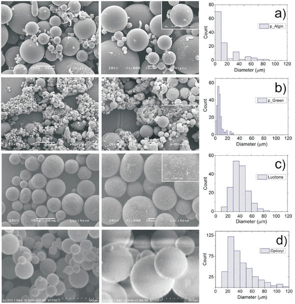 New Trends for the Processing of Poly(Methyl Methacrylate) Biomaterial