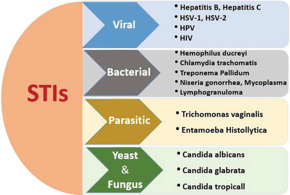 Microbicides For The Prevention Of Hpv, Hiv-1, And Hsv-2: Sexually Transmitted Viral Infections | Intechopen
