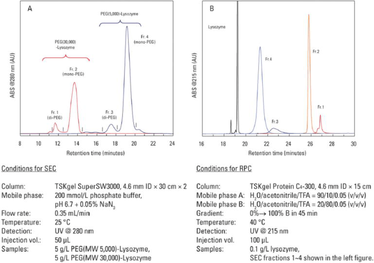 Separation of Monoclonal Antibodies by Analytical Size Exclusion