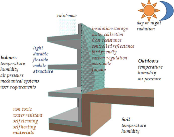 Biomimetic Facade Applications For A More Sustainable Future