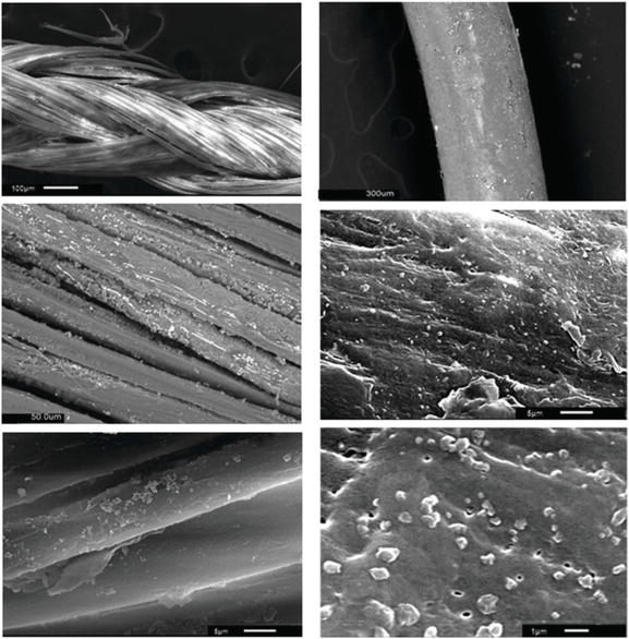 Antimicrobial Effect of Silk and Catgut Suture Threads Coated with