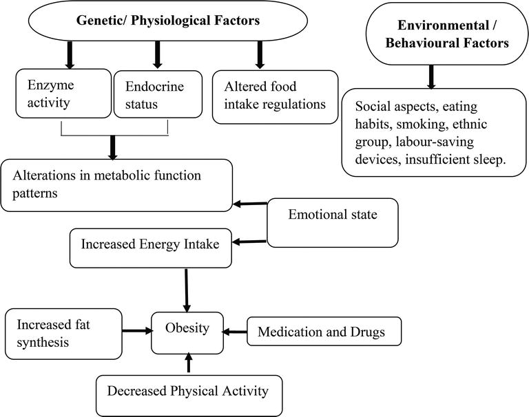 Ageing Process and Physiological Changes IntechOpen