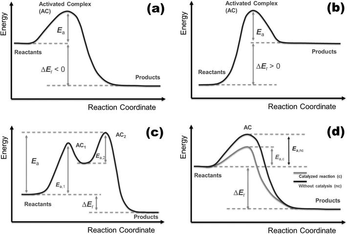 30 Study The Following Reaction Energy Diagram_ Wiring Diagram Database