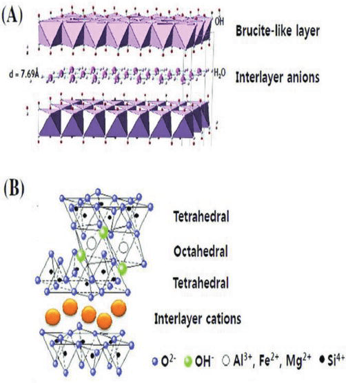 Development of Clay Nanoparticles Toward Bio and Medical Applications