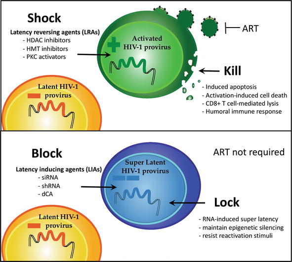 Mechanisms for Controlling HIV1 Infection A Gene Therapy Approach