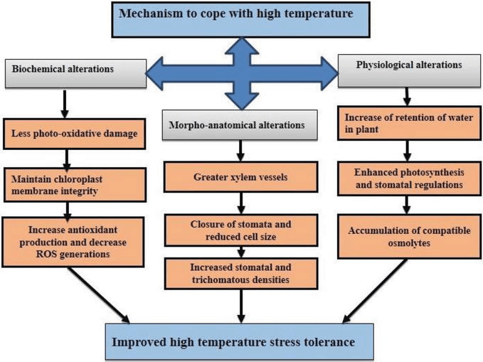 Sugarcane Production under Changing Climate Effects of Environmental