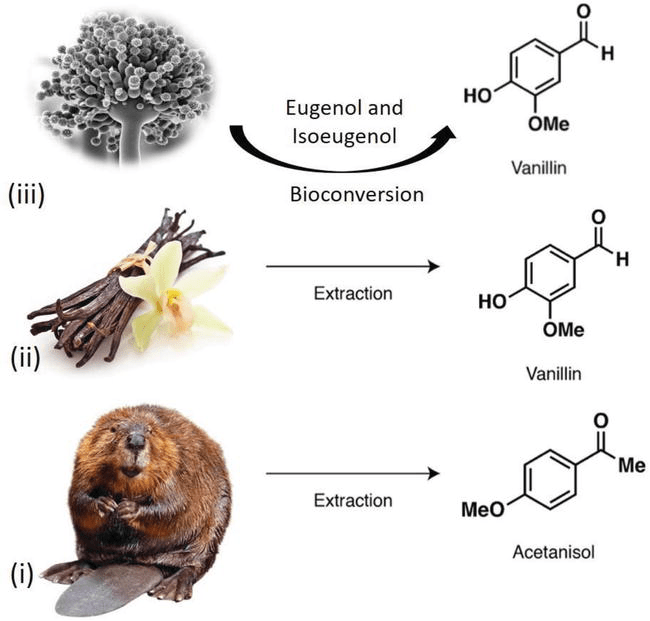 Introductory Chapter Generation of Aromas and Flavours IntechOpen