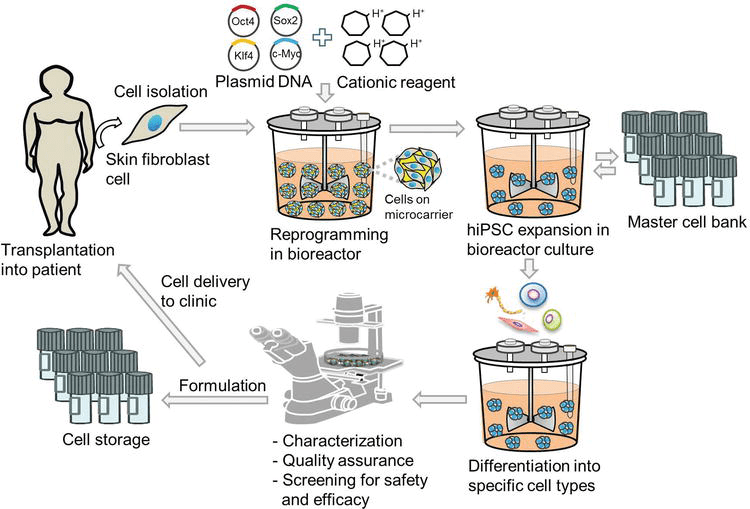 Integrated Biologics Manufacturing in StirredSuspension Bioreactor A
