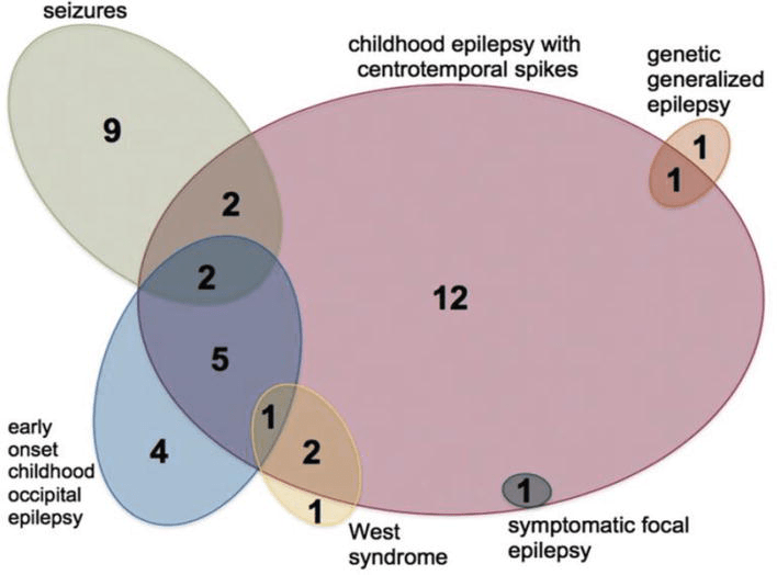 Epilepsy and Cerebral Palsy IntechOpen