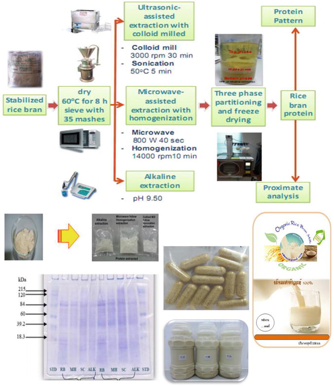 Extraction, Characterization, and Application of Agricultural and Food