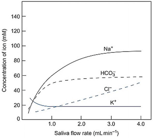Dietary Factors, Salivary Parameters, and Dental Caries IntechOpen