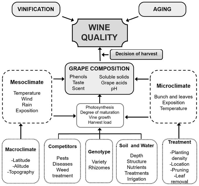 Management of Wine Aroma Compounds Principal Basis and Future