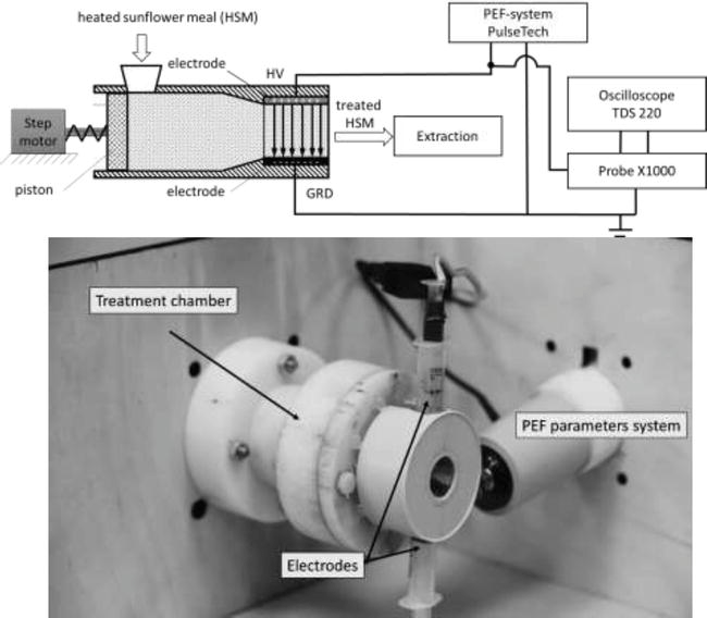 Pulsed Electrical Discharge and Pulsed Electric Field Treatment during