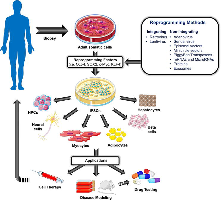 Nonintegrating Methods to Produce Induced Pluripotent Stem Cells for